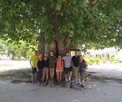 Students standing under baobab tree